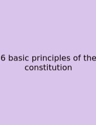 6 Basic Principles Of The Constitution