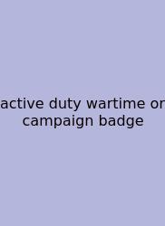 Active Duty Wartime Or Campaign Badge
