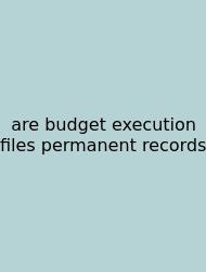 Are Budget Execution Files Permanent Records