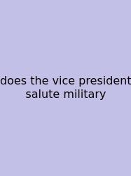 Does The Vice President Salute Military