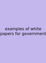 Examples Of White Papers For Government