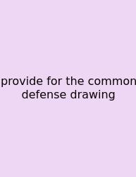 Provide For The Common Defense Drawing