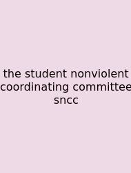 The Student Nonviolent Coordinating Committee Sncc