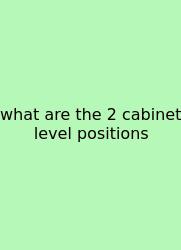 What Are The 2 Cabinet Level Positions