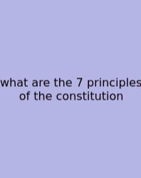 What Are The 7 Principles Of The Constitution