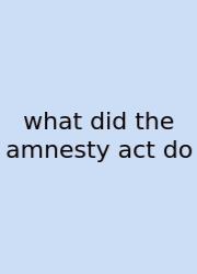 What Did The Amnesty Act Do