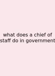 What Does A Chief Of Staff Do In Government