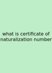 What Is Certificate Of Naturalization Number