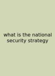 What Is The National Security Strategy