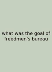 What Was The Goal Of Freedmen's Bureau