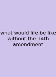 What Would Life Be Like Without The 14th Amendment
