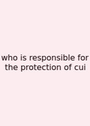 Who Is Responsible For The Protection Of Cui